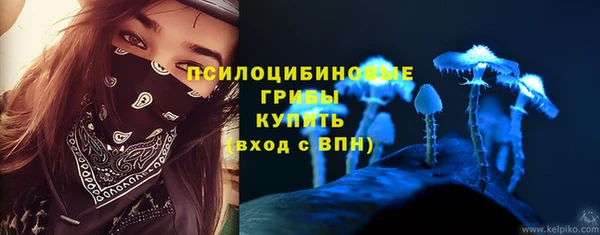сатива Верхний Тагил