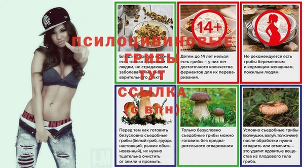 сатива Верхний Тагил