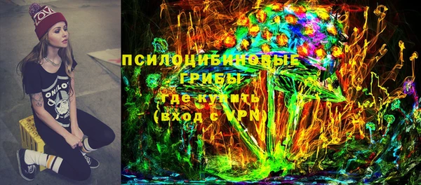 сатива Верхний Тагил