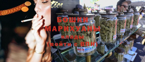 мдпв Верея