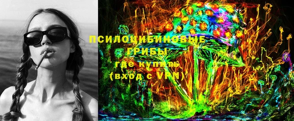 мдпв Верея